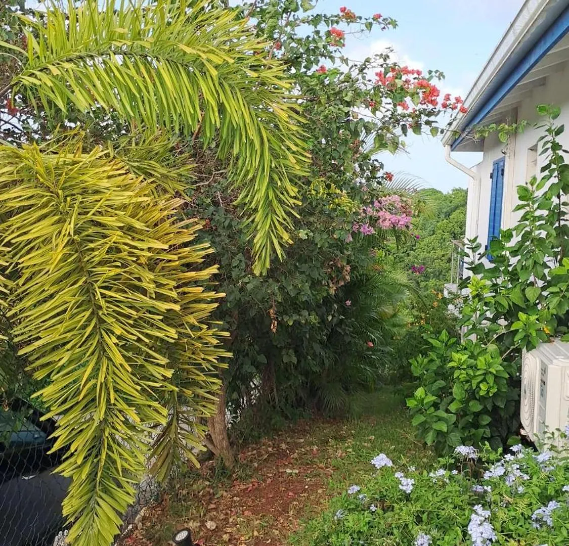 Rev Bleu Villa Sainte-Anne  Guadeloupe